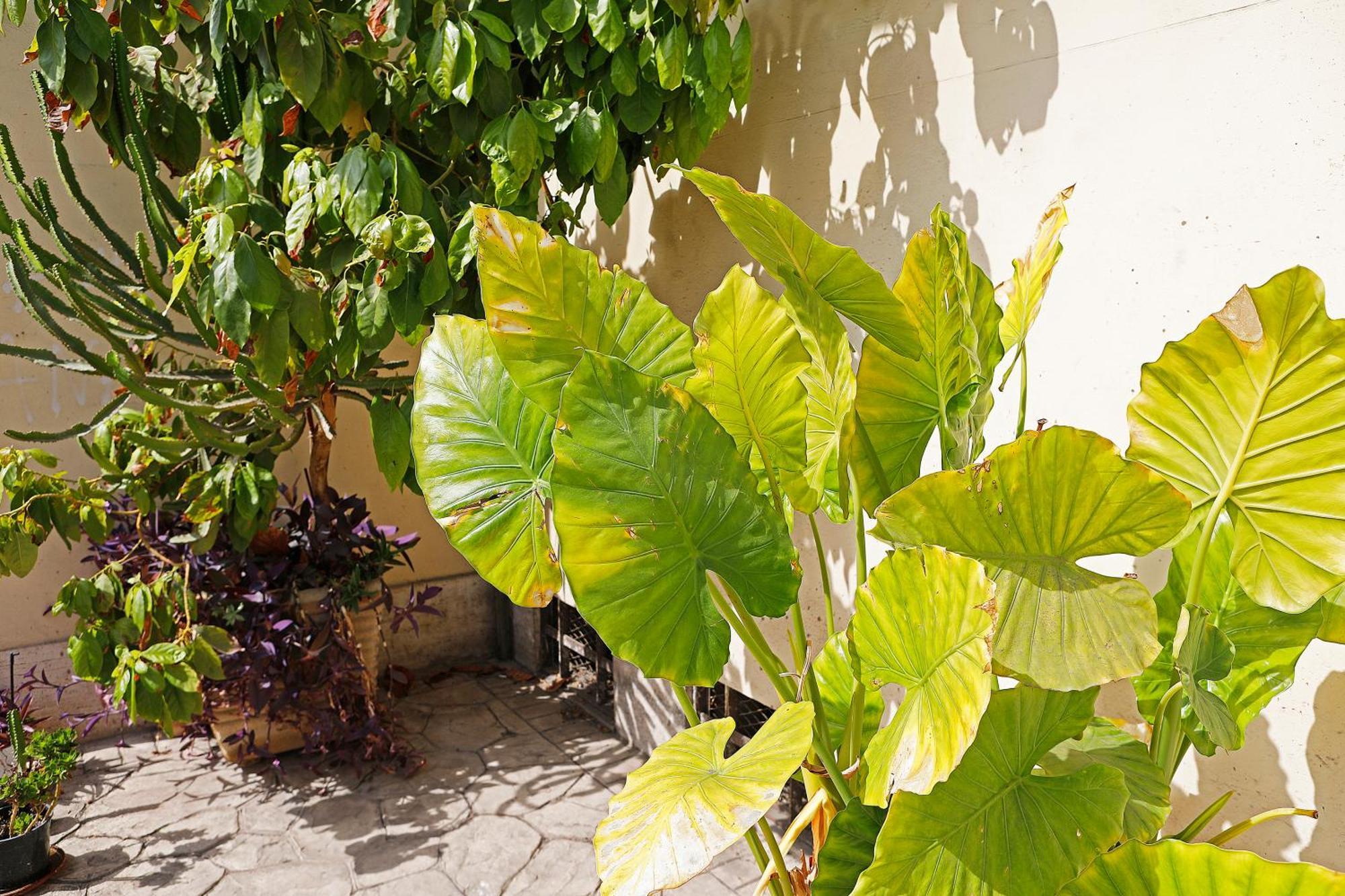 San Martino Bed & Breakfast Rome Exterior photo